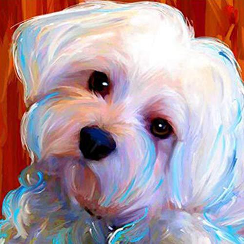 Full Round Square Diamond Painting, 5D Craft PictureWhite Dog Embroidery Cross Stitch, Home Decoration Gift