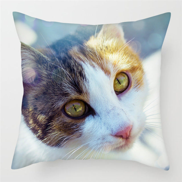 Hairless pillowcase home sofa cushion cover decoration