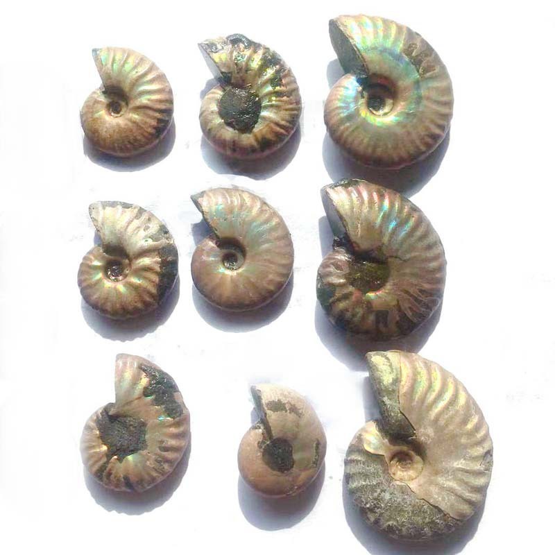 Colorful Snail Pendant Pendants Home Decoration Ornaments