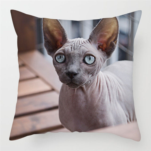 Hairless pillowcase home sofa cushion cover decoration