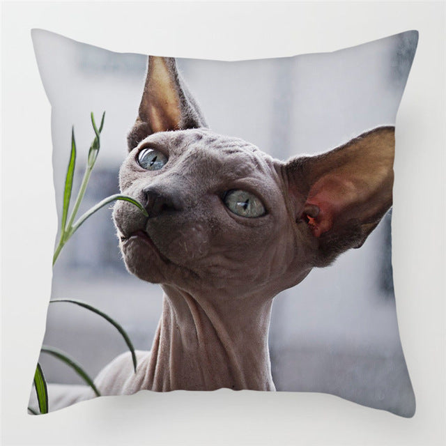 Hairless pillowcase home sofa cushion cover decoration