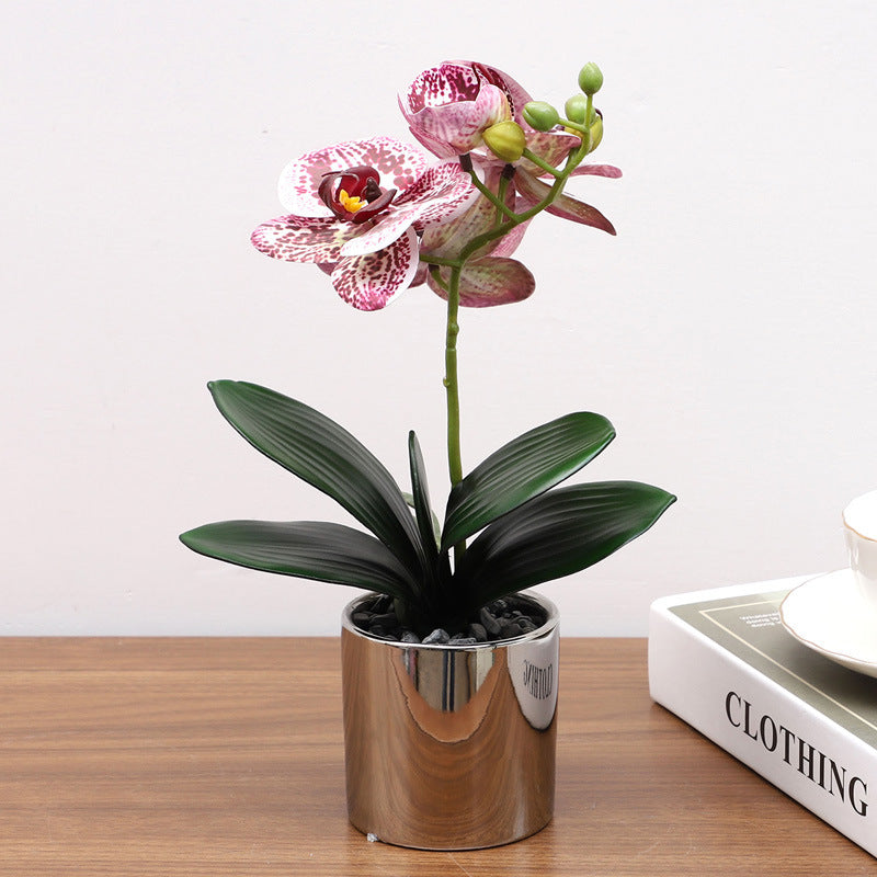 Nordic Simulation Plant Phalaenopsis Potted Home Living Room Decoration Fake Flower Flower Potted Simulation Flower Factory Wholesale