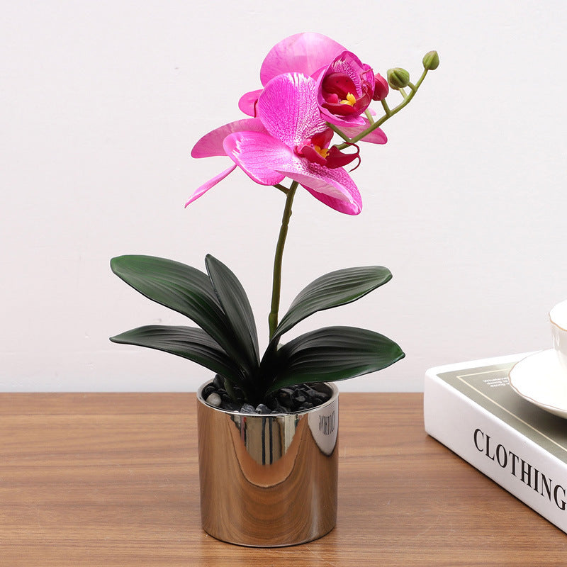 Nordic Simulation Plant Phalaenopsis Potted Home Living Room Decoration Fake Flower Flower Potted Simulation Flower Factory Wholesale