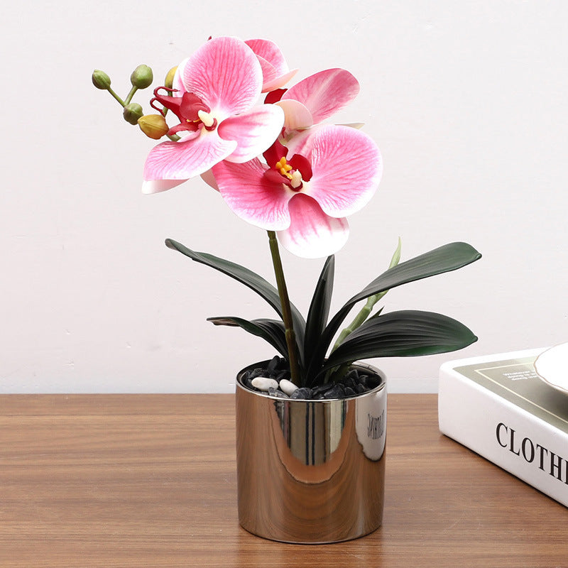 Nordic Simulation Plant Phalaenopsis Potted Home Living Room Decoration Fake Flower Flower Potted Simulation Flower Factory Wholesale