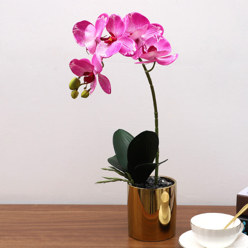 Nordic Simulation Plant Phalaenopsis Potted Home Living Room Decoration Fake Flower Flower Potted Simulation Flower Factory Wholesale