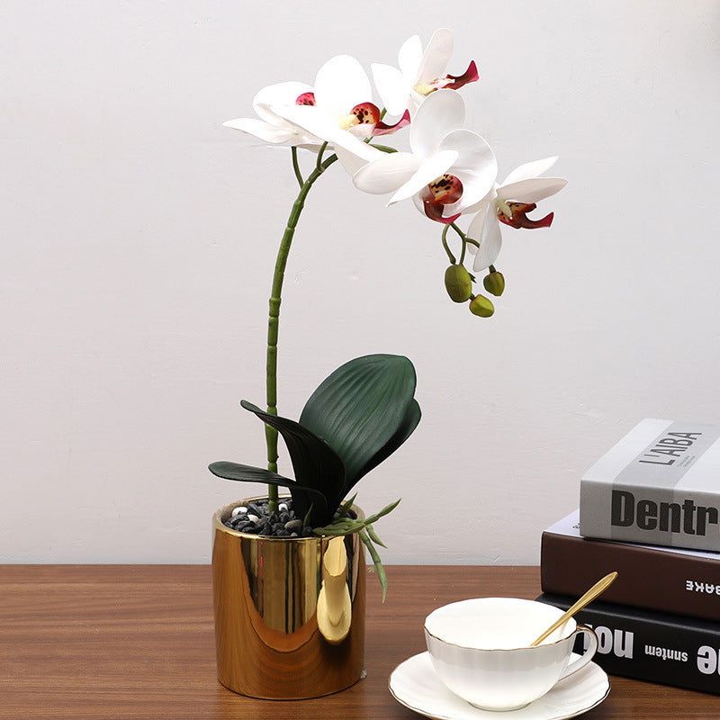 Nordic Simulation Plant Phalaenopsis Potted Home Living Room Decoration Fake Flower Flower Potted Simulation Flower Factory Wholesale