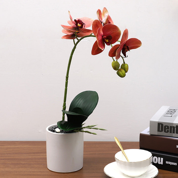 Nordic Simulation Plant Phalaenopsis Potted Home Living Room Decoration Fake Flower Flower Potted Simulation Flower Factory Wholesale