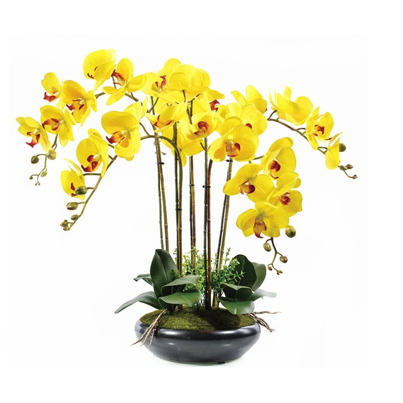 Artificial Flower Film Phalaenopsis Nine Heads Single Branch Artificial Flower Feel Chinese Home Living Room Decoration Flower Arrangement