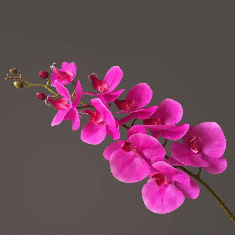 Artificial Flower Film Phalaenopsis Nine Heads Single Branch Artificial Flower Feel Chinese Home Living Room Decoration Flower Arrangement