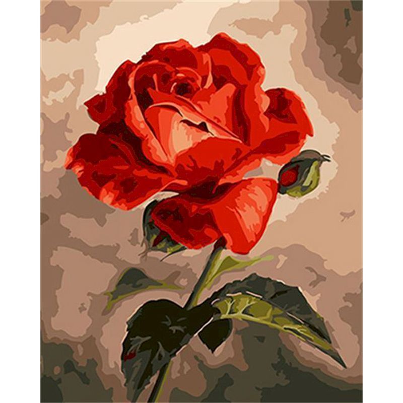 Paint Flower Quantity On Canvas By Number, Hand-painted, Adult, Color By Number, Home Decoration Art, Undefined Prompt, Digital Tool, Modern Accessories