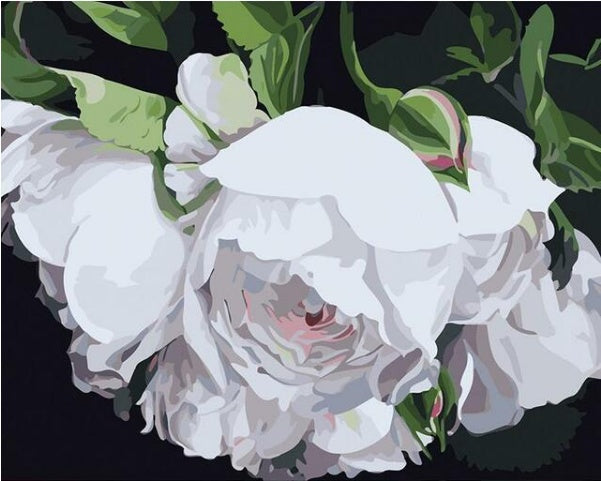 White Flower Painting - DIY Painting By Numbers Kit