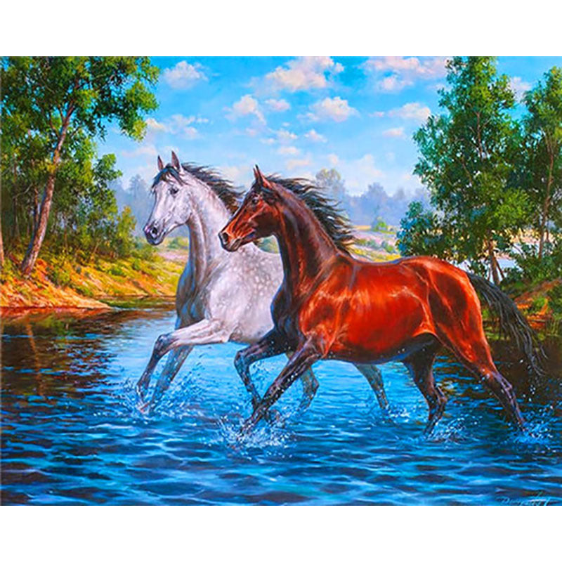 Horse Numbered Paintings