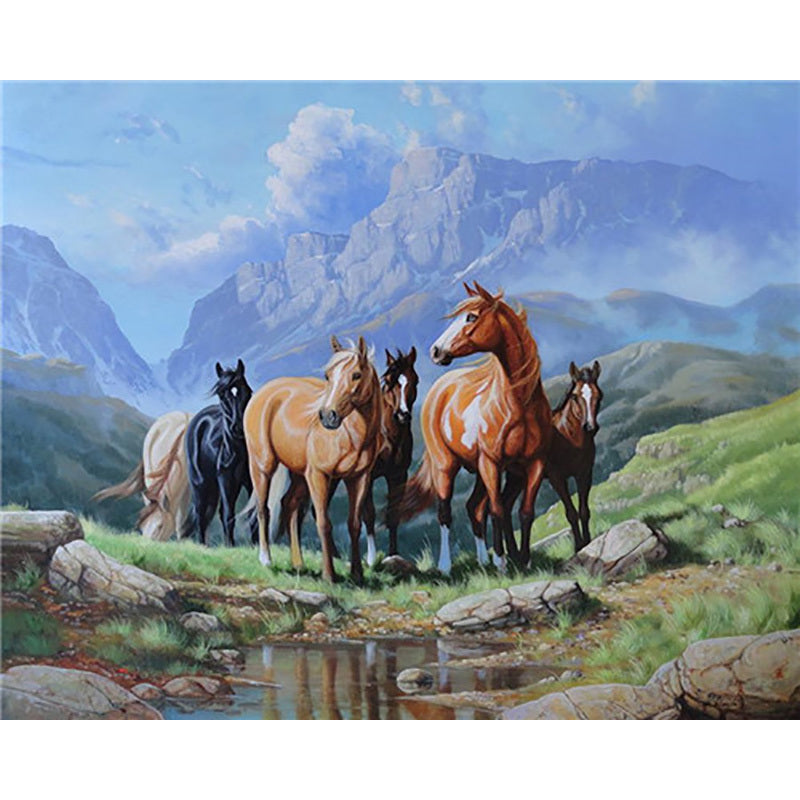 Horse Numbered Paintings