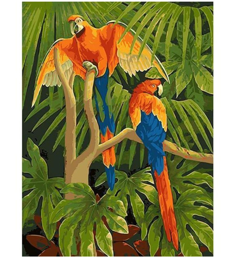 Beautiful Parrots - DIY Painting By Numbers Kit