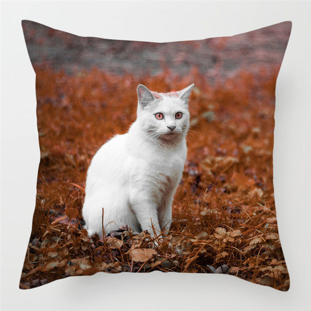 Hairless pillowcase home sofa cushion cover decoration