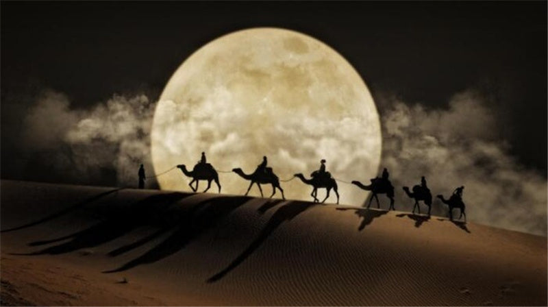 Desert Moon Night Wall Art Poster Canvas Painting