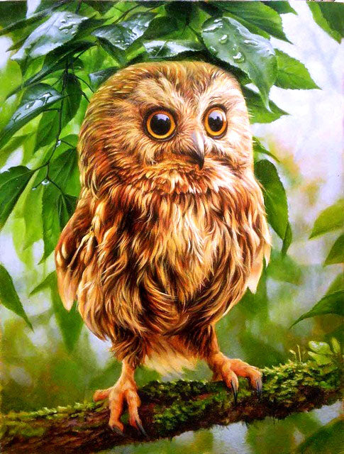 Home Decoration Owl Theme Diamond Painting