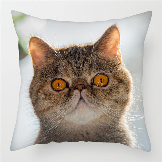 Hairless pillowcase home sofa cushion cover decoration