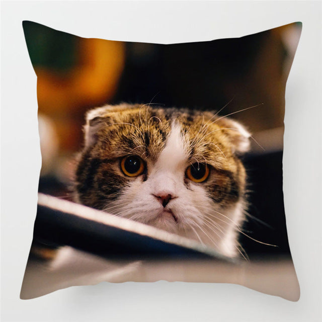 Hairless pillowcase home sofa cushion cover decoration