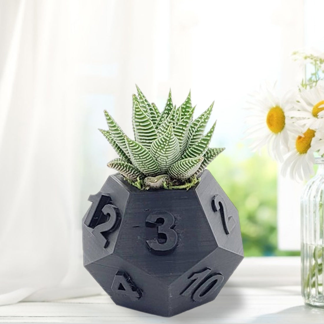 3D Printed Plant Pot Table Top RPG Dice Succulent Planter Set Home Decoration Multifunction Garden Flower Pot