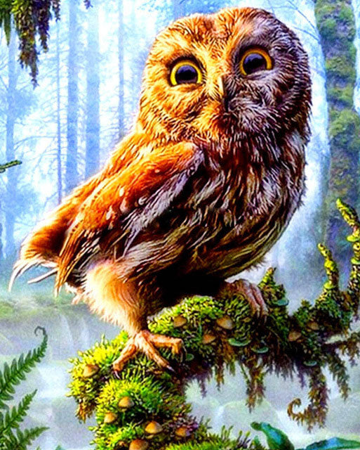 Home Decoration Owl Theme Diamond Painting