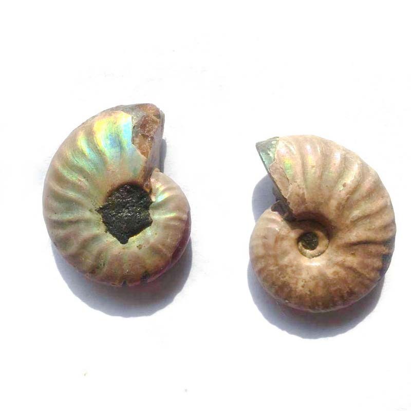 Colorful Snail Pendant Pendants Home Decoration Ornaments