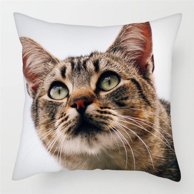 Hairless pillowcase home sofa cushion cover decoration