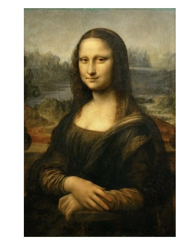 Funny Mona Lisa Character Canvas Home Decoration