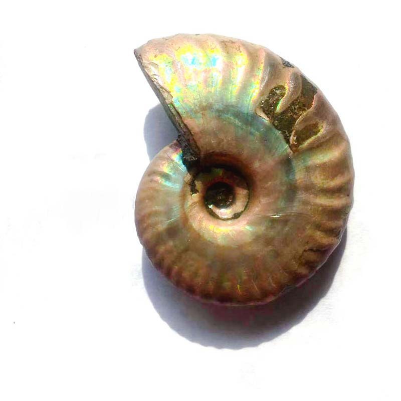 Colorful Snail Pendant Pendants Home Decoration Ornaments