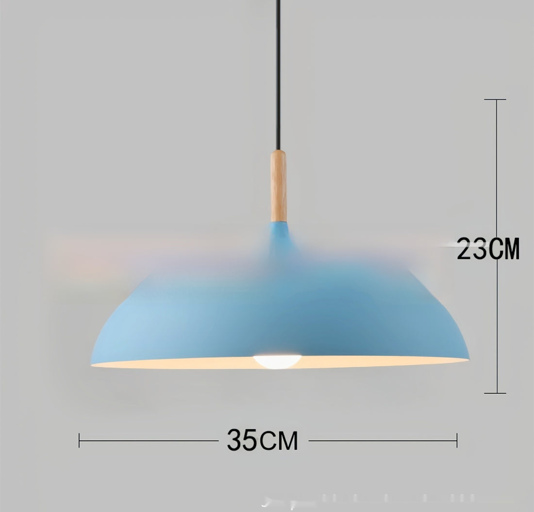 Modern Minimalist And Personalized Single Headed Restaurant Chandelier