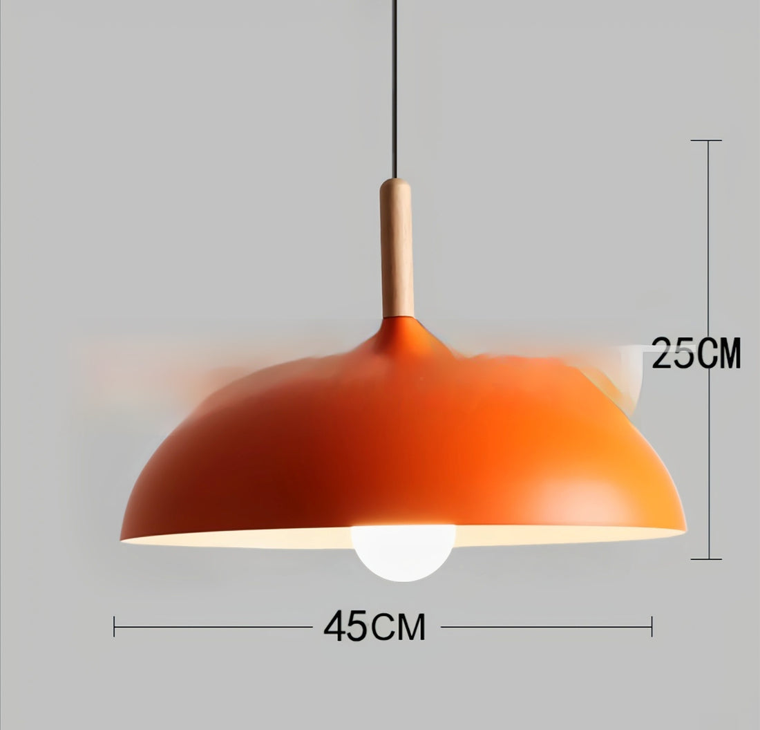 Modern Minimalist And Personalized Single Headed Restaurant Chandelier