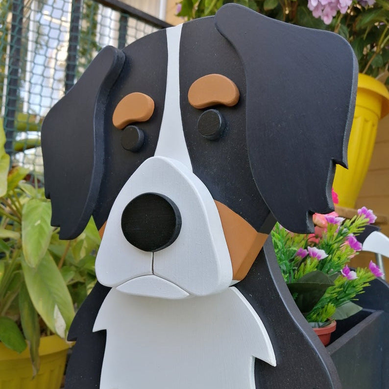 Balcony Courtyard Garden Outdoor Indoor Cute Bernese