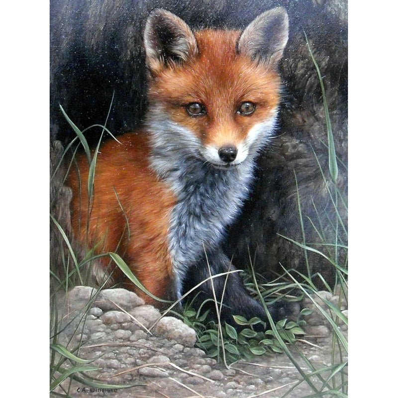 Diamond Painting Home Decoration Lonely Baby Fox